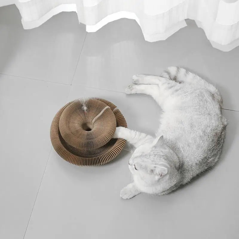 Foldable Cat Scratch Accordion Toy