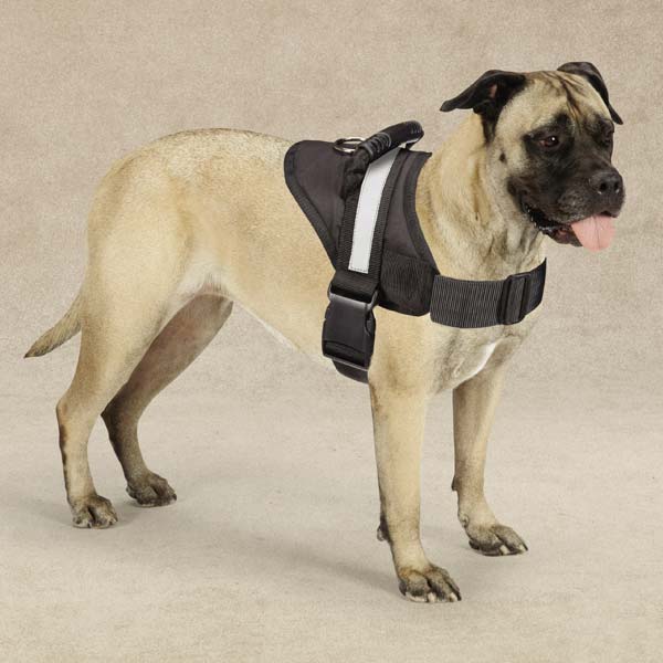 Excursion Harness