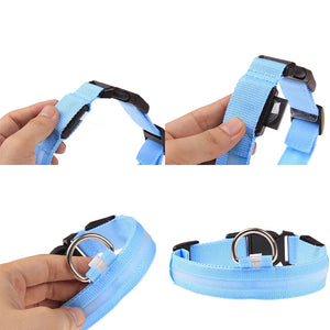  Adjustable Dog Collar  