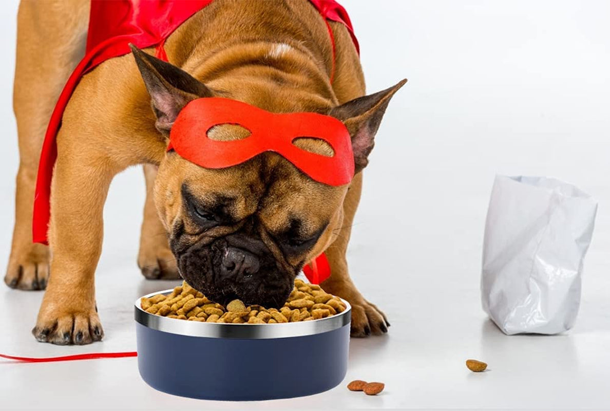  Stainless Steel Dog Bowls   