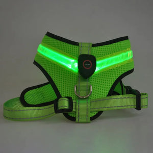 LED Luminous Dog Harness  