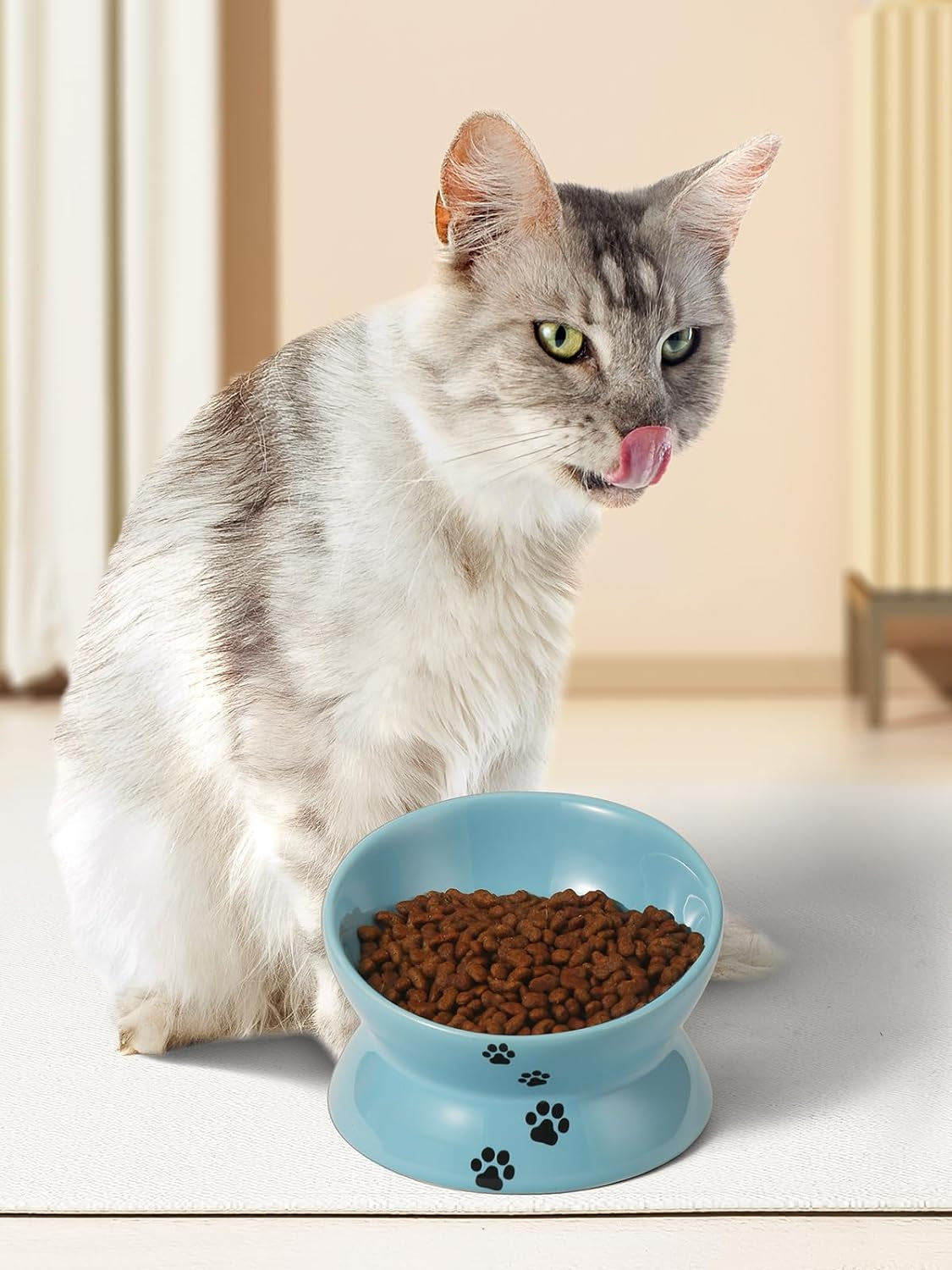  Cat Food Bowl 