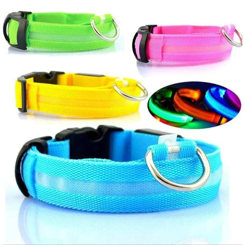  Adjustable Dog Collar  