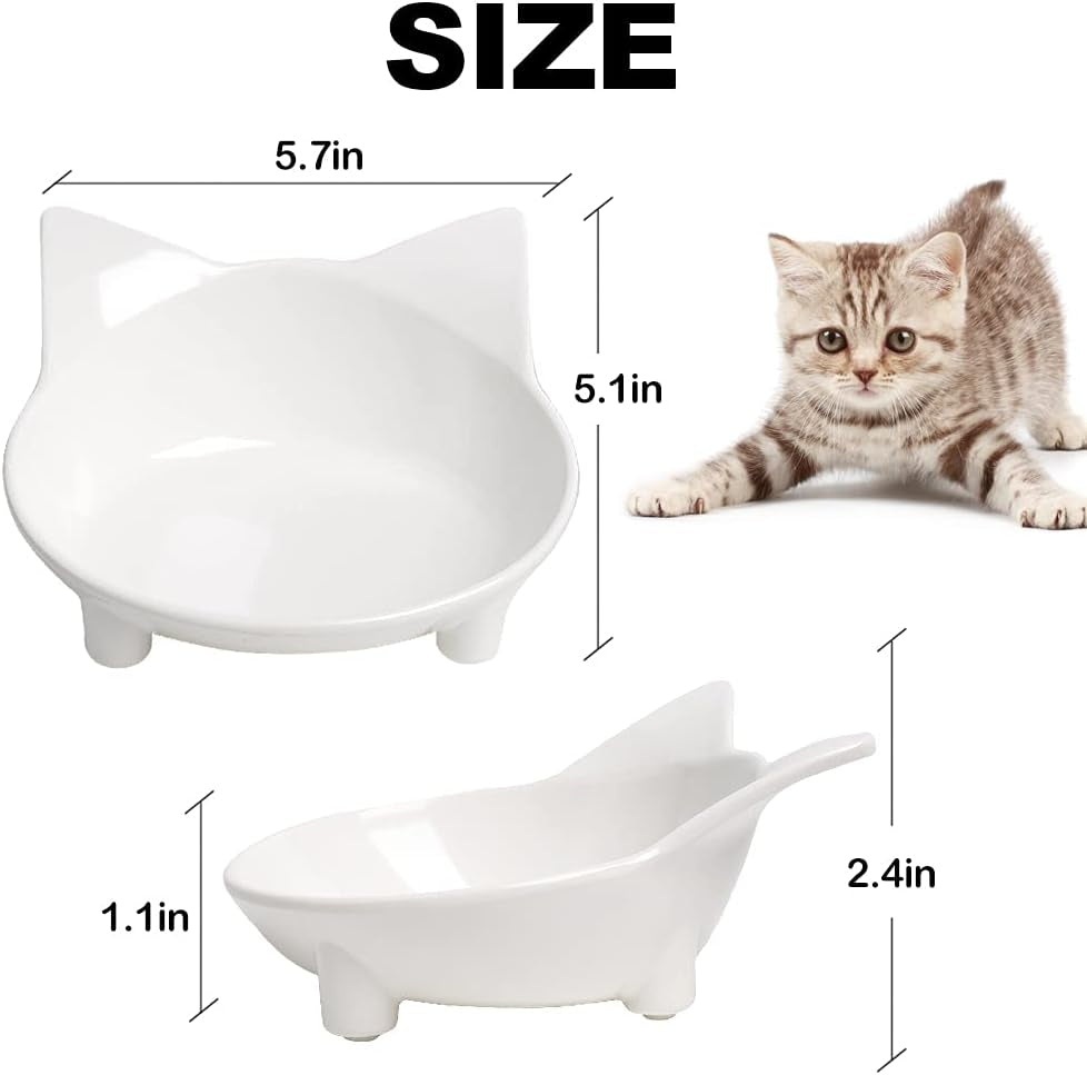  Shallow Cat Food Dishes  