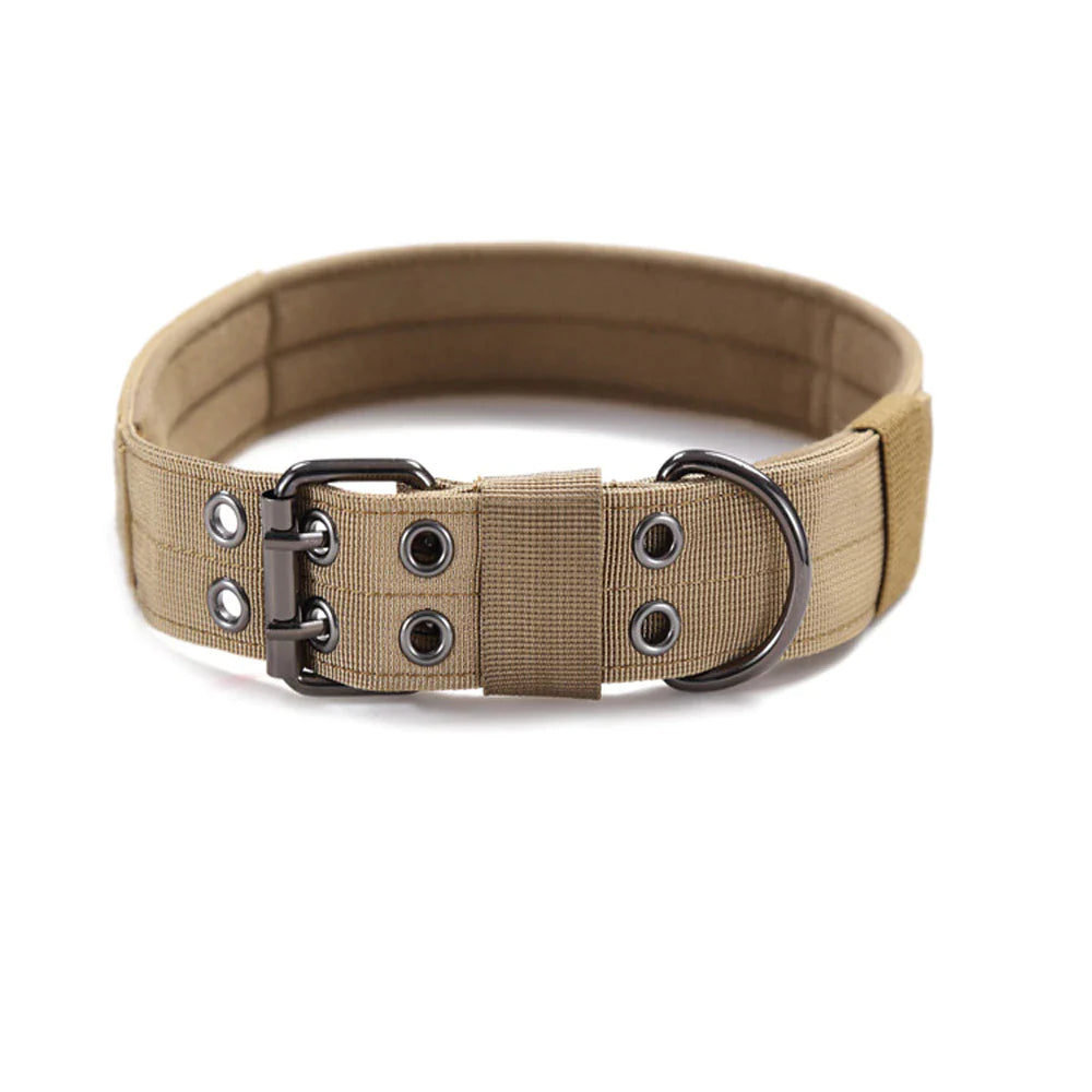 Miitary Dog Collar 