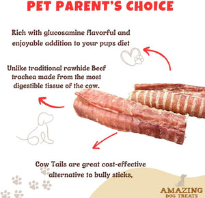  Trachea Dog Chews 