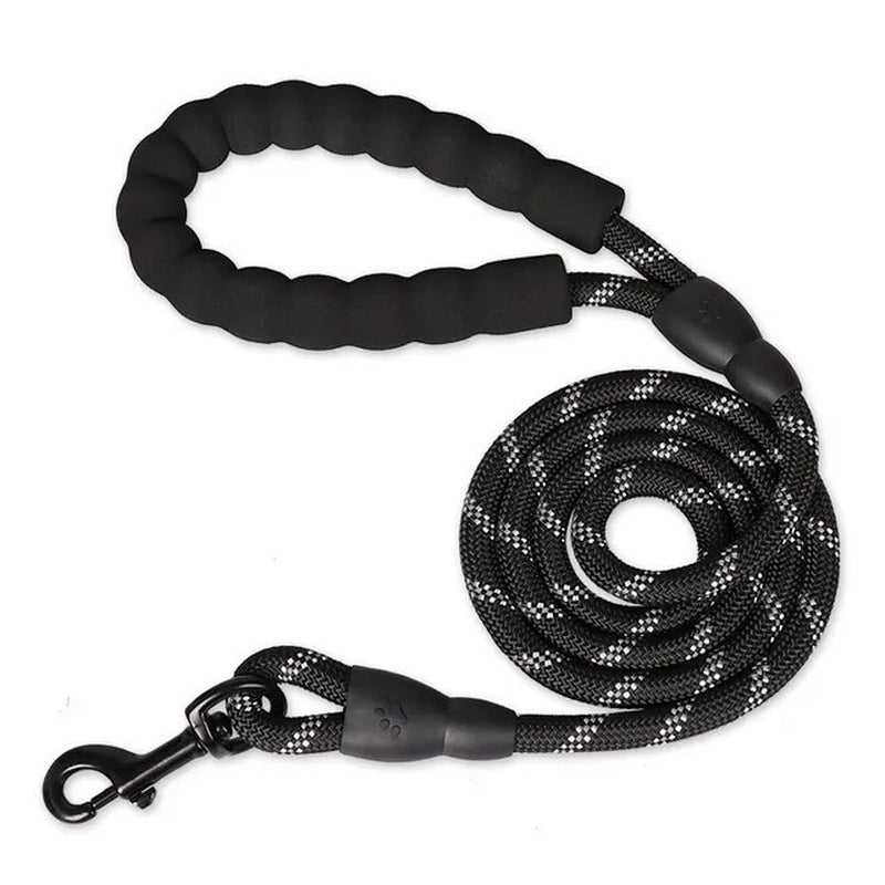 Strong Nylon Dog Leash  