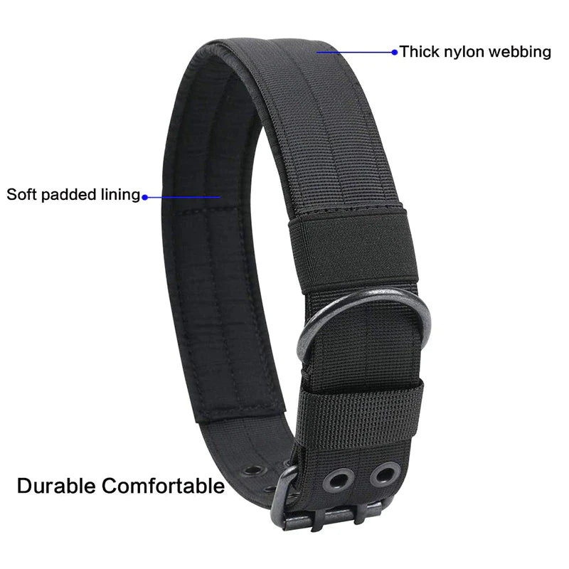 Miitary Dog Collar 