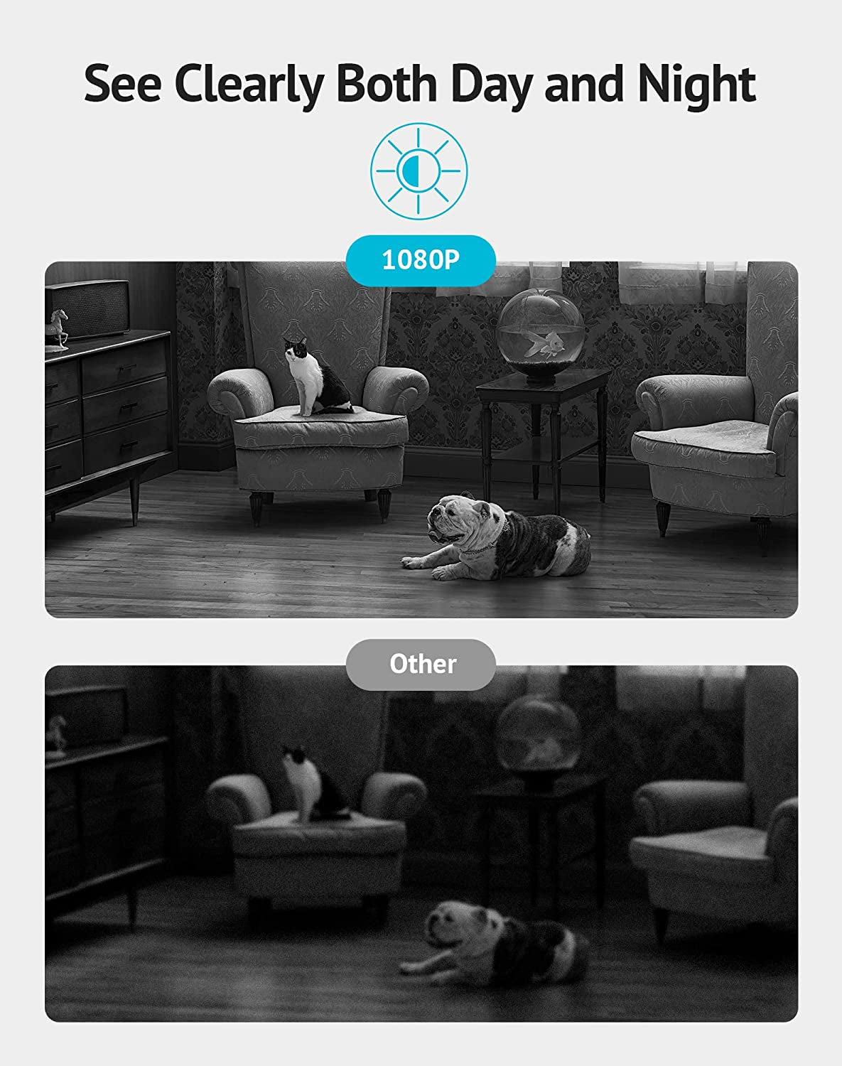  WIFI Pet Camera 