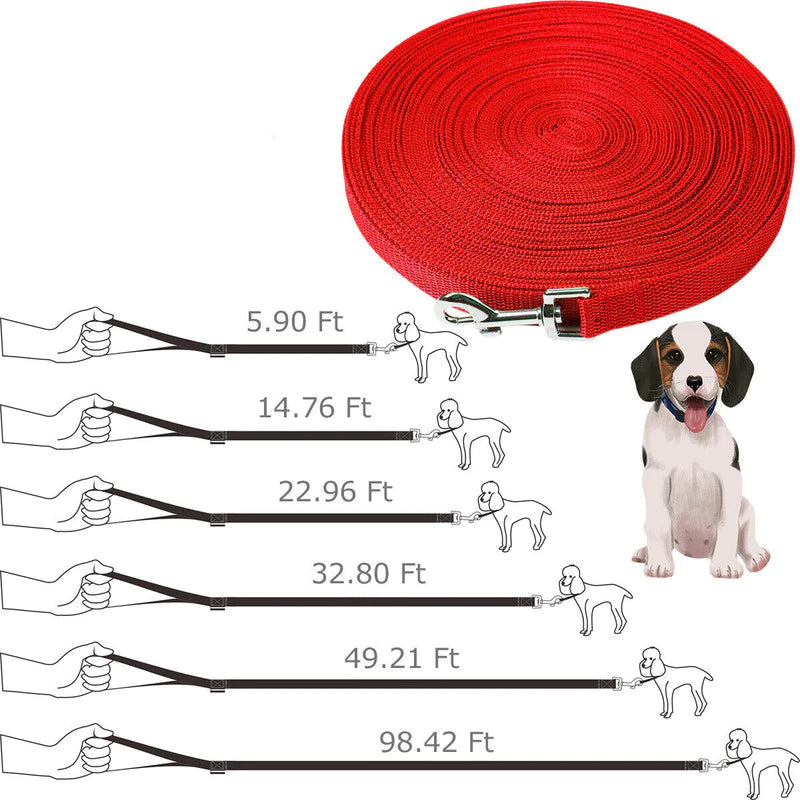 Feet Training Dog Leash 