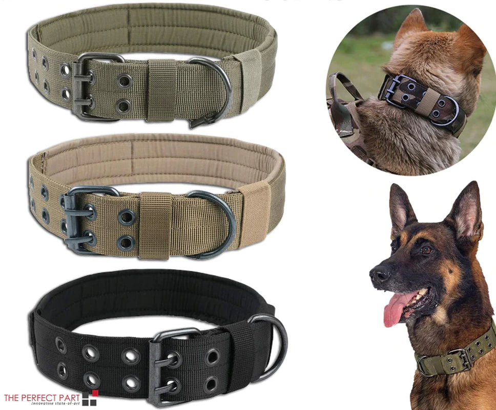 Miitary Dog Collar 