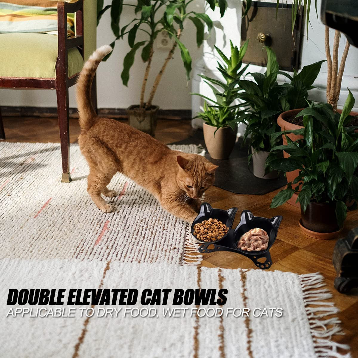 Cat Food Bowls