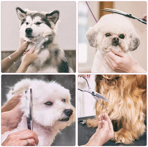   Dog Grooming Scissors  