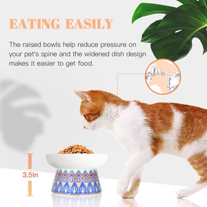 Anti Vomiting Cat Bowls 