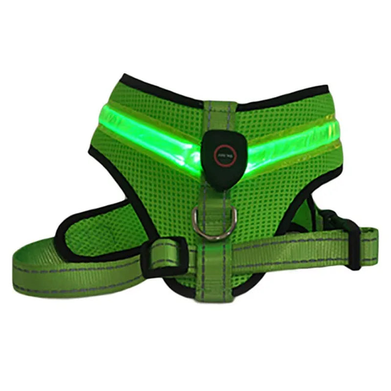 LED Luminous Dog Harness  