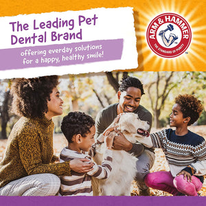  Dog Dental Chews  