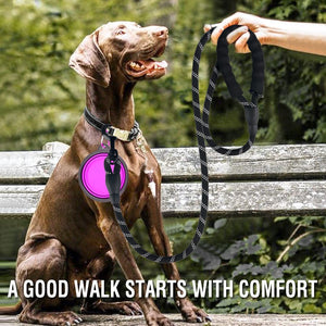  Reflective Pet Leash 