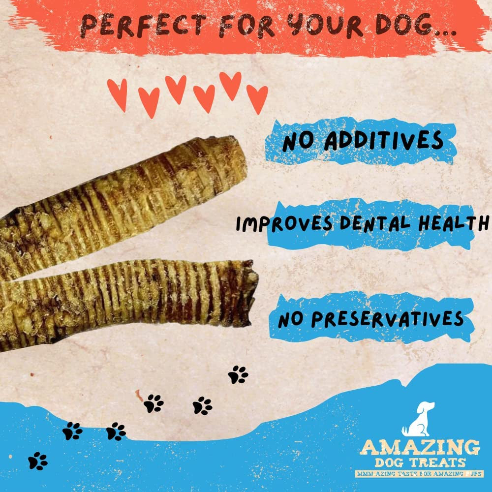  Beef Trachea Dog Chews