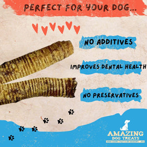  Beef Trachea Dog Chews