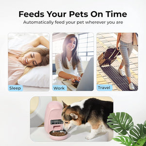 Timed Cat Feeder 