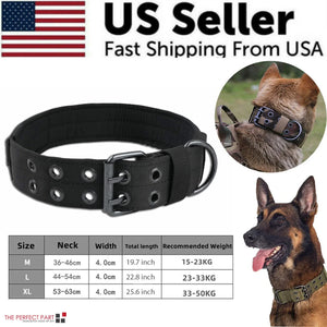 Miitary Dog Collar 