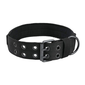 Miitary Dog Collar 