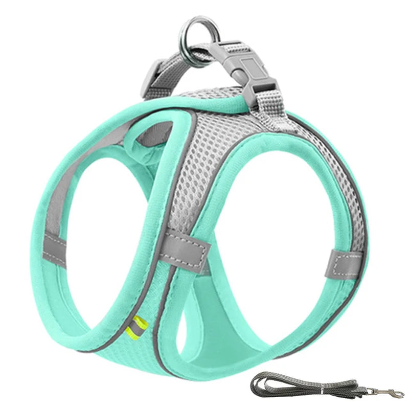 Adjustable Dog Harness  