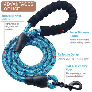 Strong Nylon Dog Leash  