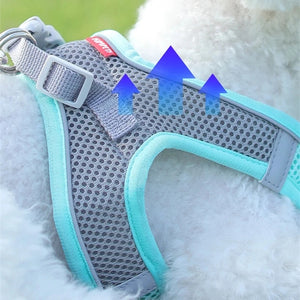 Adjustable Dog Harness  