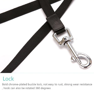 Automatic Dog Leash 