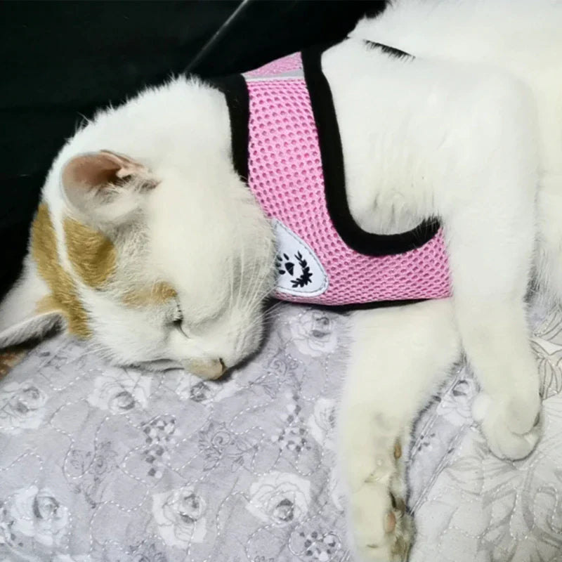  Adjustable Pet Harness