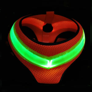 LED Luminous Dog Harness  