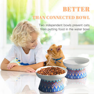 Anti Vomiting Cat Bowls 