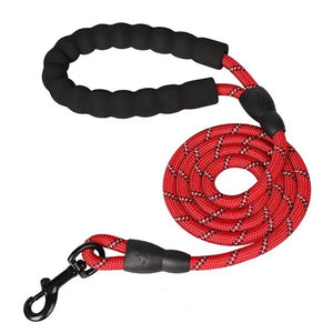 Strong Nylon Dog Leash  