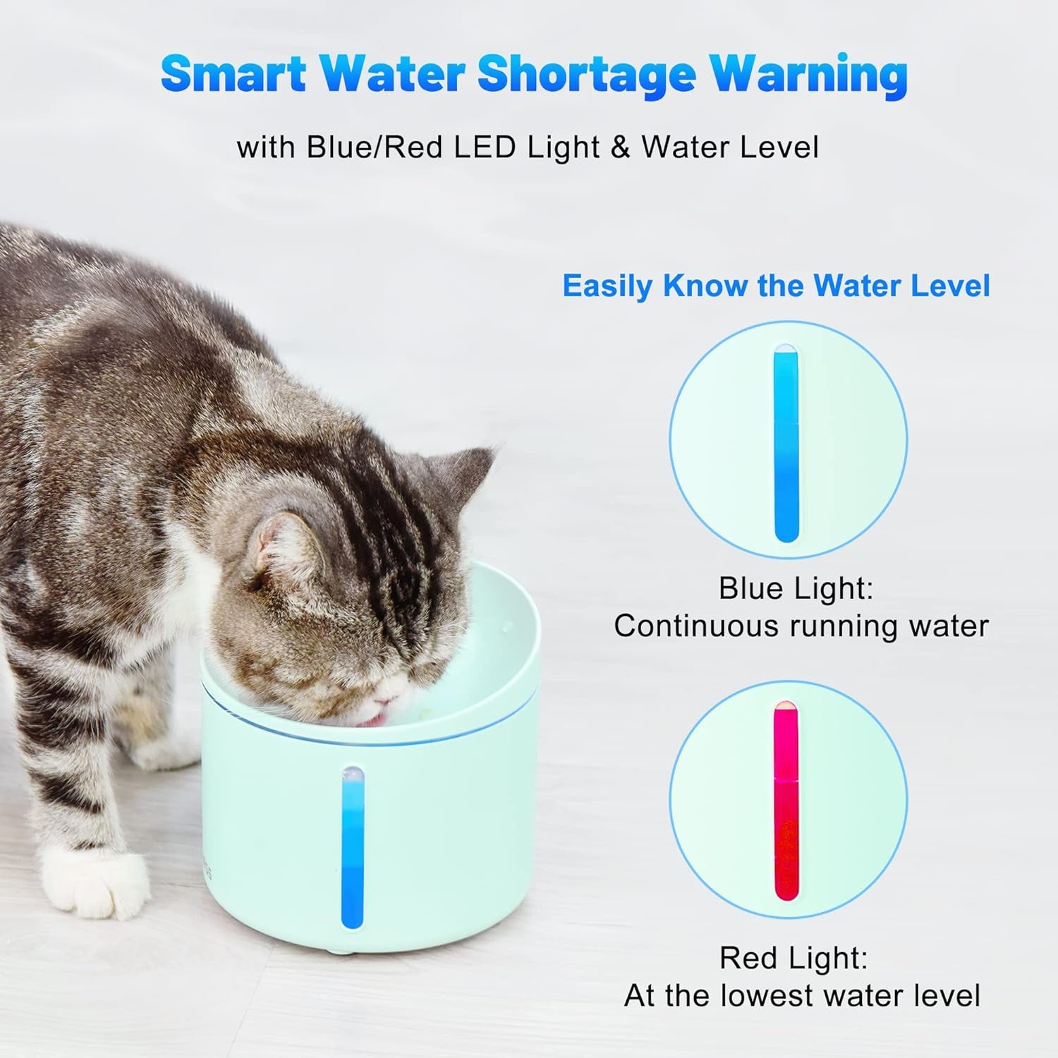 Pet Water Fountain 