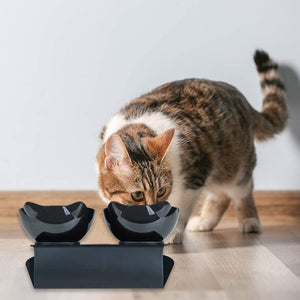  Tilted Cat Bowls  