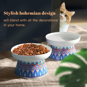 Anti Vomiting Cat Bowls 