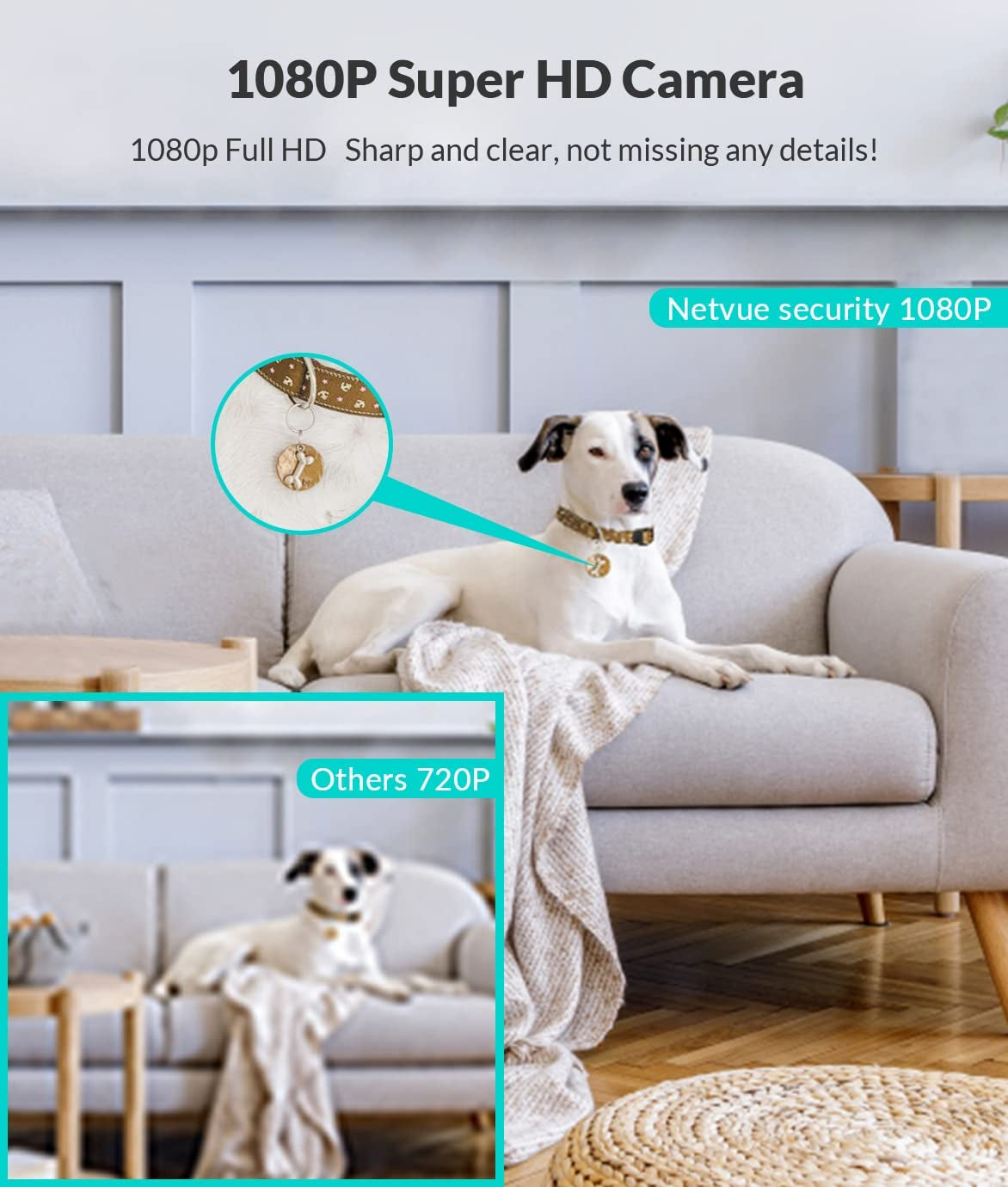 Indoor Pet Camera 