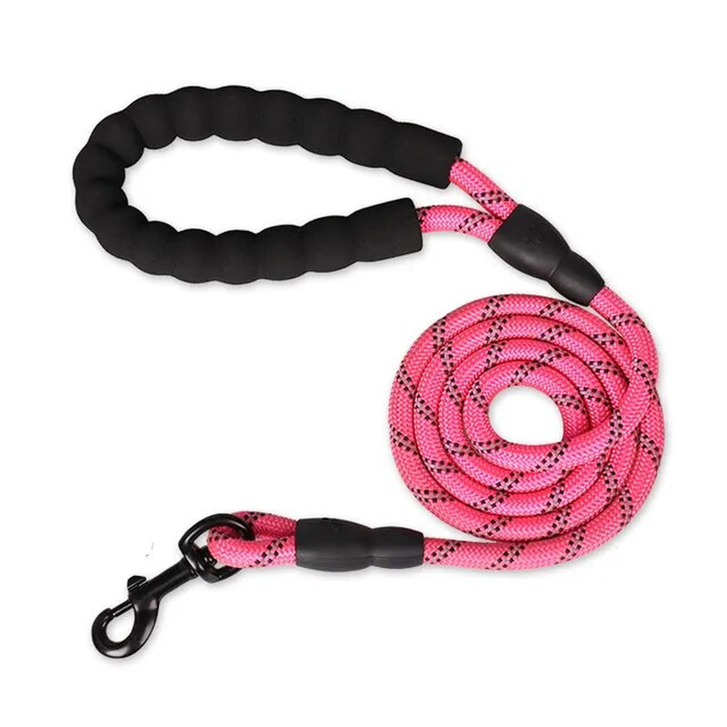 Strong Nylon Dog Leash  