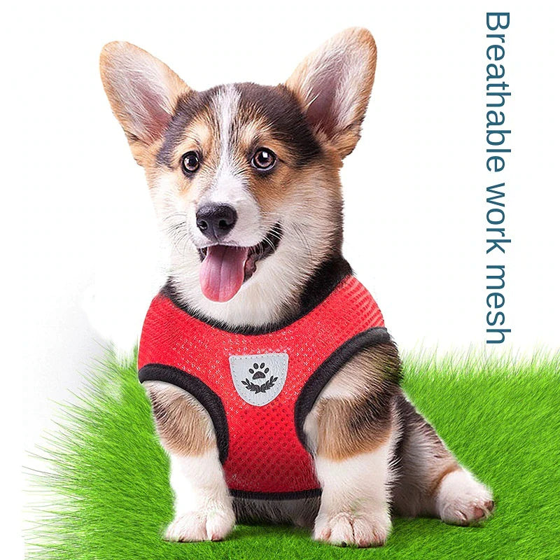  Adjustable Pet Harness