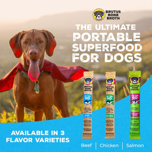  Hydrating Dog Food  