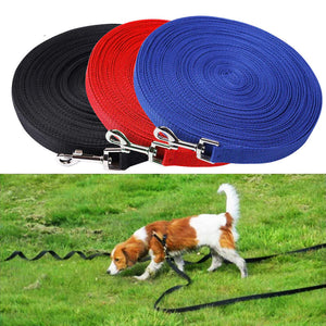 Feet Training Dog Leash 