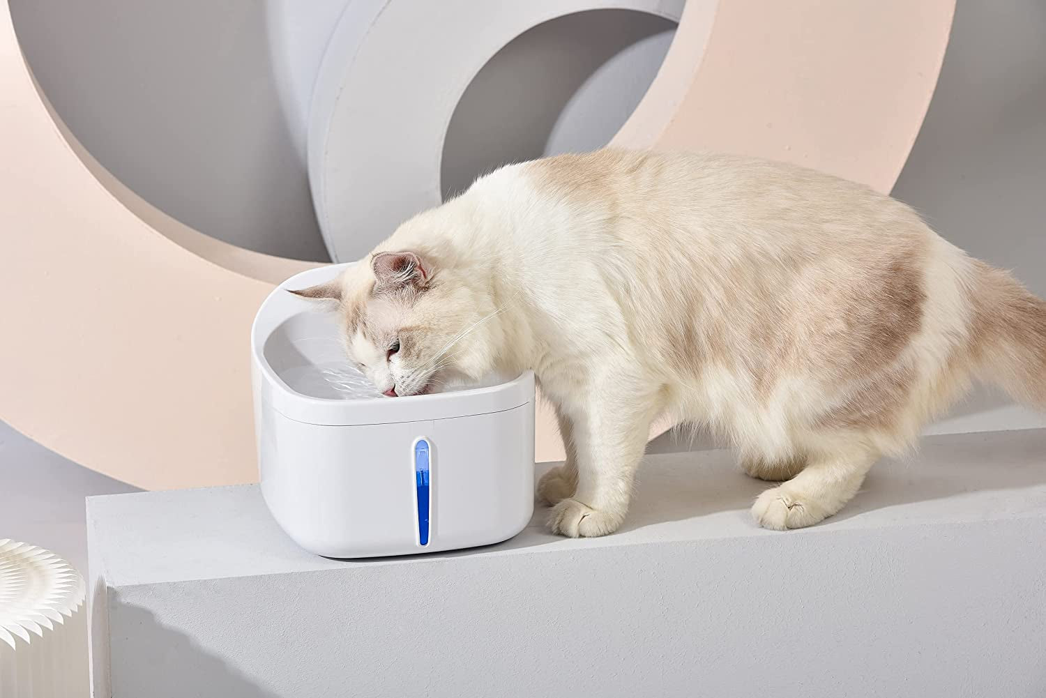  Cat Water Dispenser 