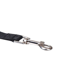 Feet Training Dog Leash 