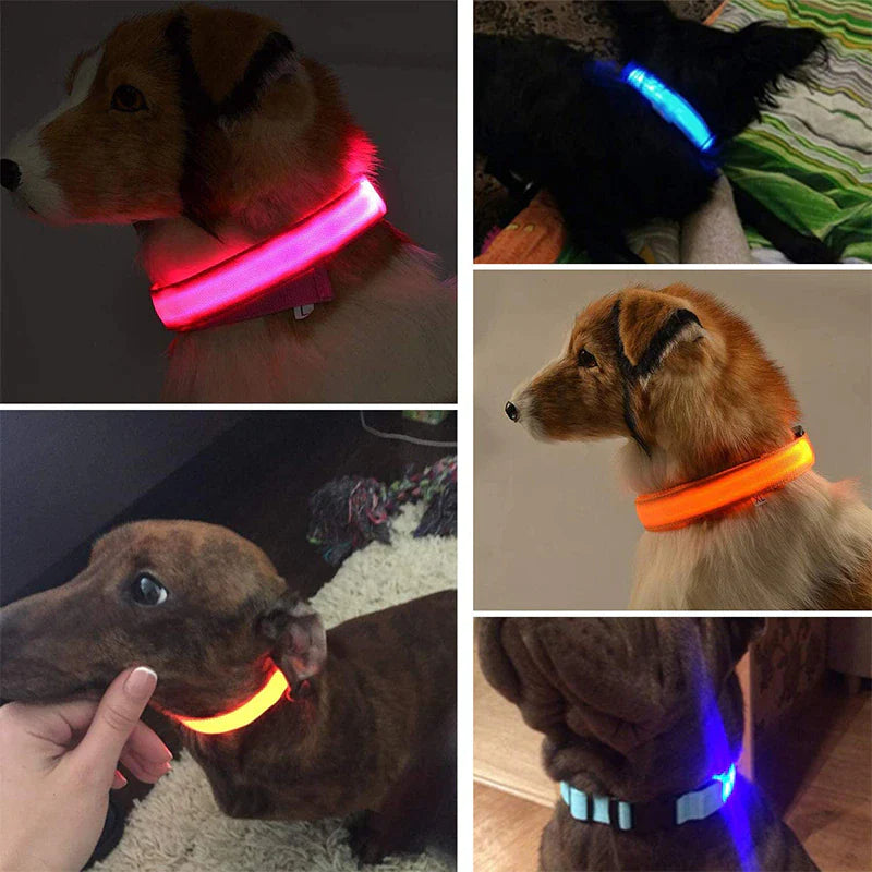  Adjustable Dog Collar  