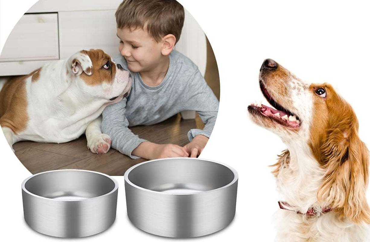  No Spill Dog Bowl 