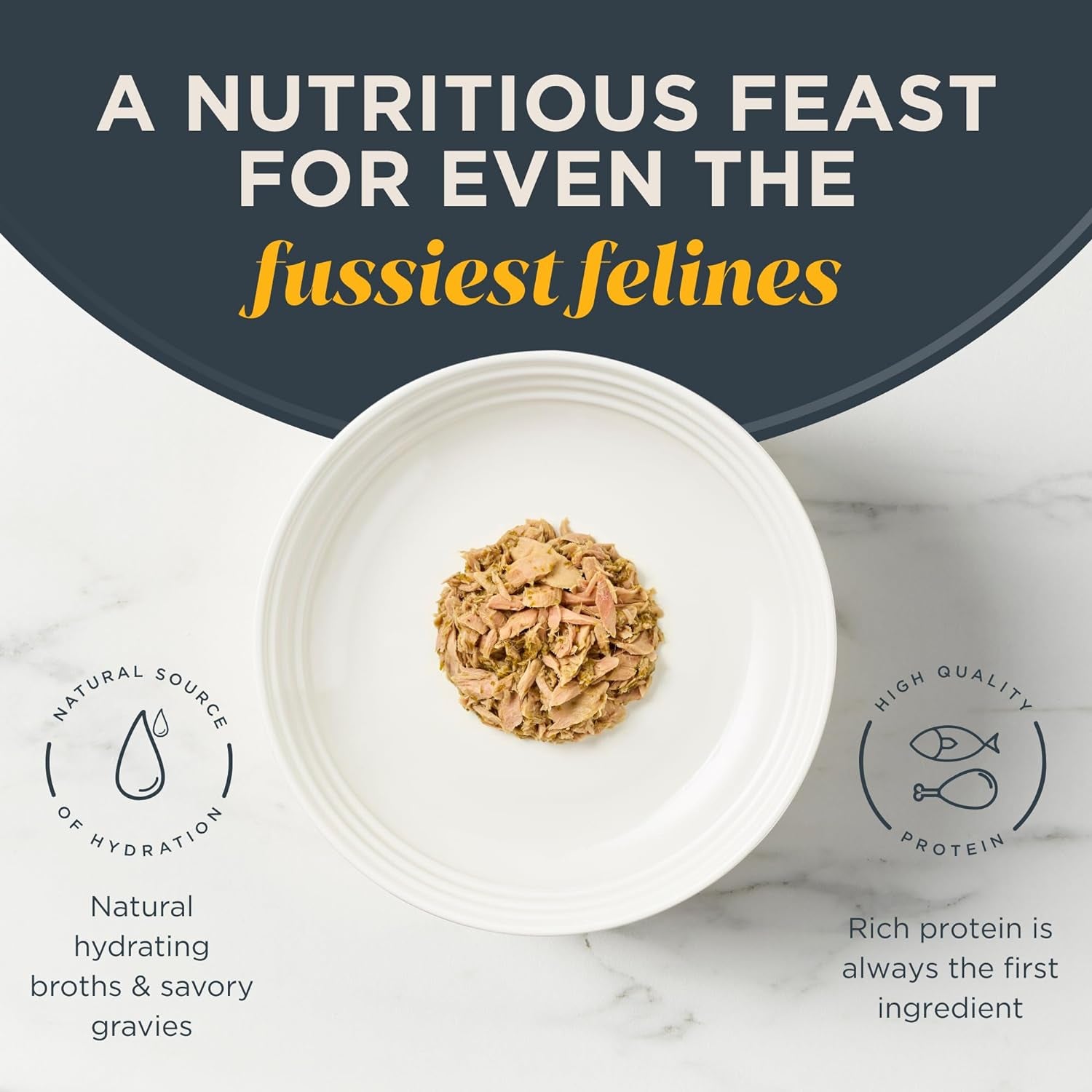  Grain Free Cat Food