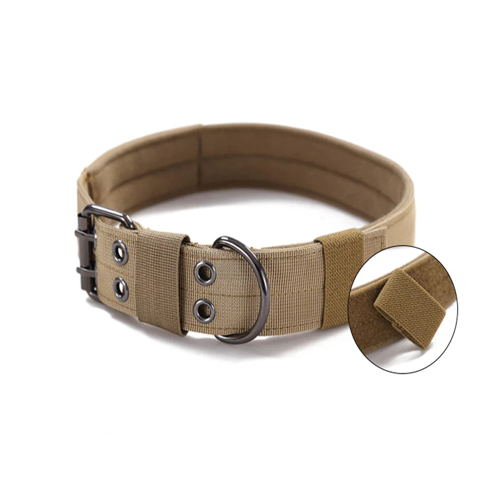 Miitary Dog Collar 