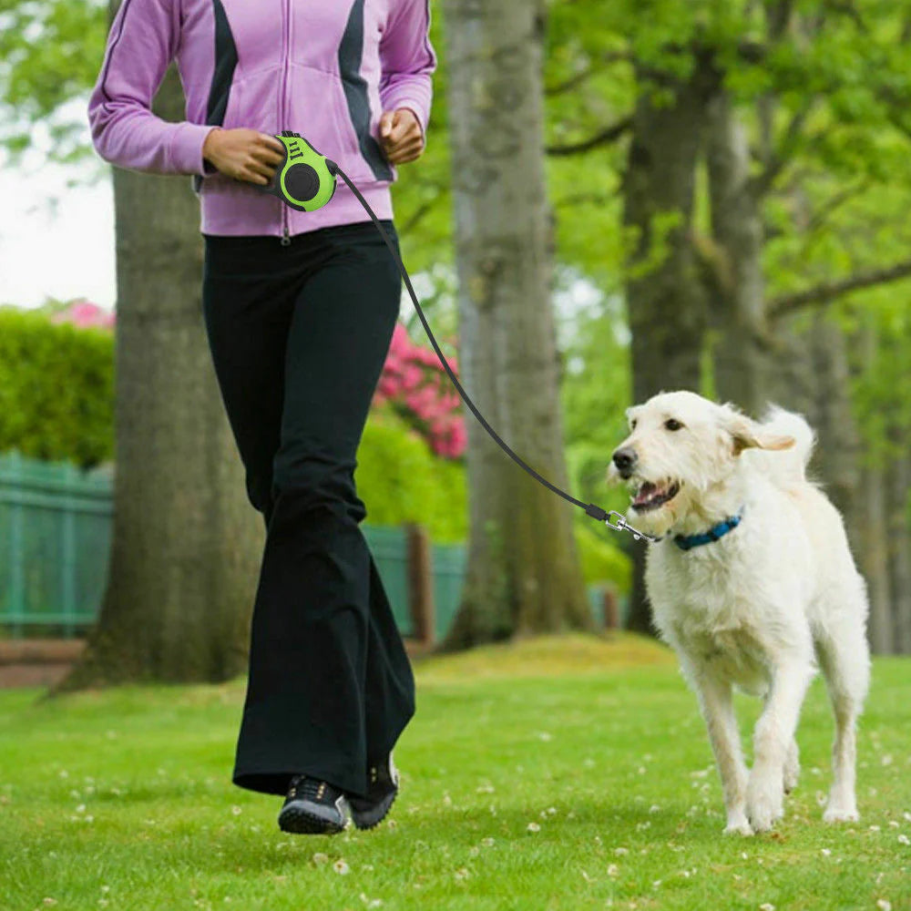 Automatic Dog Leash 