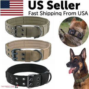 Miitary Dog Collar 